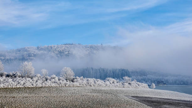 Winter landscape with Forest, farmland and meadows