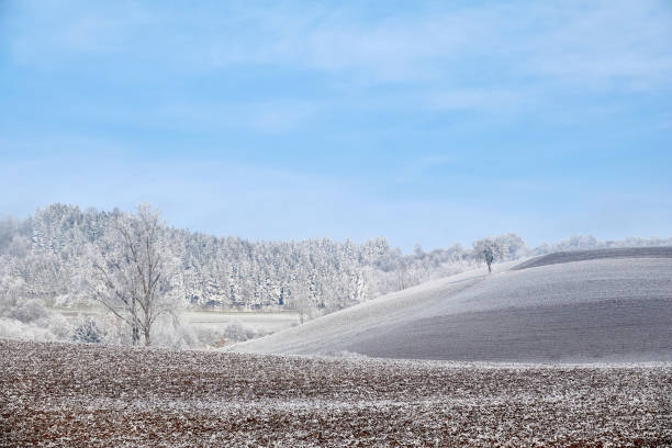 Winter landscape with Forest, farmland and meadows