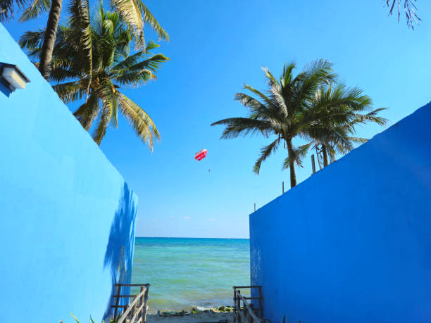 Location: Playa del Carmen, Mexico
