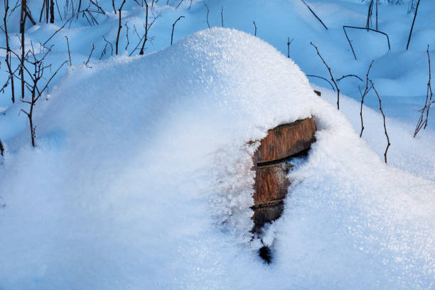 Snow covered barrel outdoor