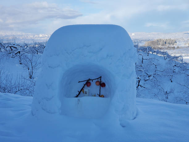 istock Snow Country/Kamakura 2193720618