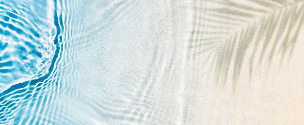istock abstract white sand beach with transparent water wave and palm leaf shadow from above, sunny background banner concept with copy space for travel, vacation and wellbeing outdoors 2193722400
