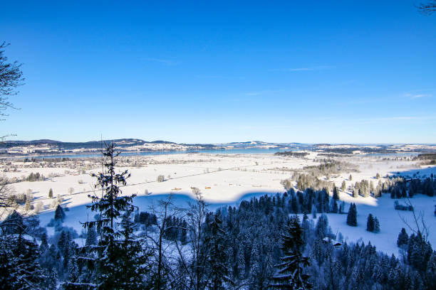 Road in winter mountains with lots of snow, trees, beautiful blue sky on a sunny day, Schwangau, Allgau, Bavaria, Germany