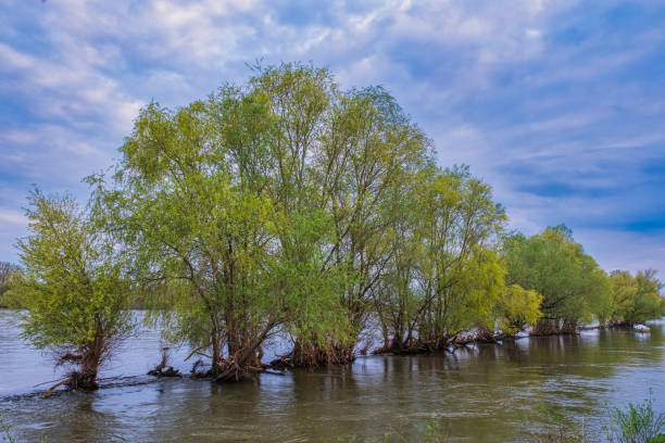 istock Flooding on the Rhine 2193723598