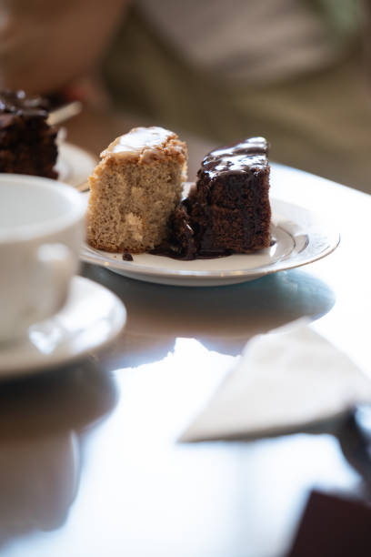 Two delicious slices of cake, one chocolate and one vanilla, sit invitingly on a plate, ready for a delightful treat