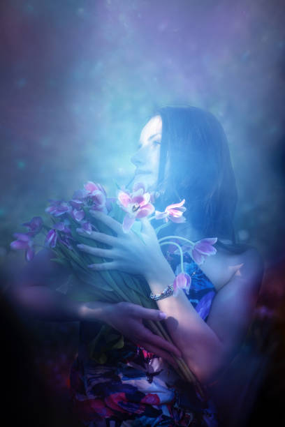 istock Bouquet of Tulips in Soft Light 2193736720