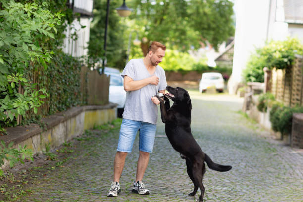istock Dog Owner playing  making obedience training with his dog 2193738807