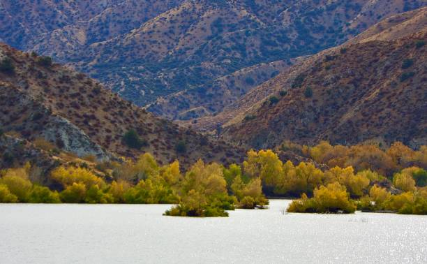 Free Stock Photo of A lake with mountains in the background | Download ...