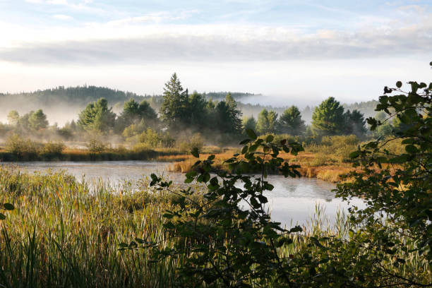 istock Beautiful natural landscape in the dawn 2193742403