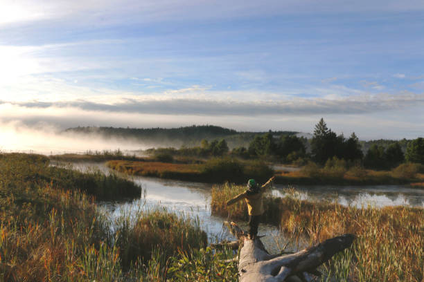 The pristine beauty of an untouched wetland at dawn in Algonquin Park, Canada, where clear waters weave through golden reeds under a vast, cloud-brushed sky. Morning mist lingers above the horizon, softening the outlines of distant trees and rolling hills, creating a tranquil, almost dreamlike atmosphere. A boy walks along a log, exploring the beauty of nature.