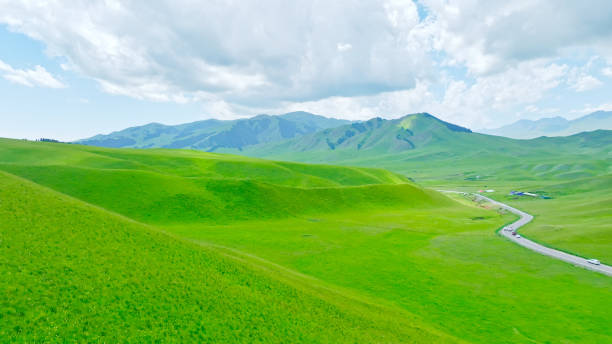 istock Grassland,Ili,Xinjiang,China,Asia. 2193744692
