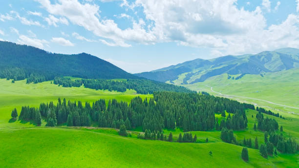 istock Grassland,Ili,Xinjiang,China,Asia. 2193744767