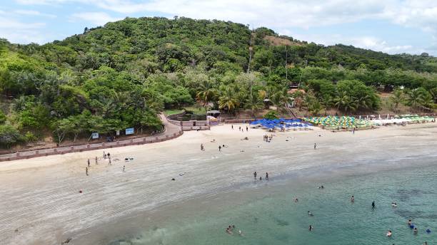 salvador, bahia, brazil - december 18, 2024: aerial view of frades island in the municipality of salvador.