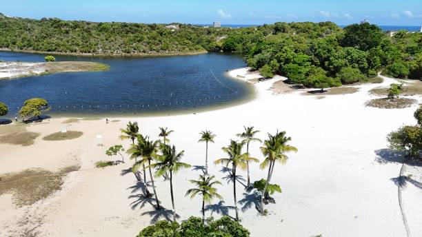 istock abaete lagoon in salvador 2193747102