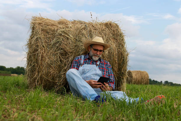 istock Senior modern farmer relaxing on field of grass 2193749464