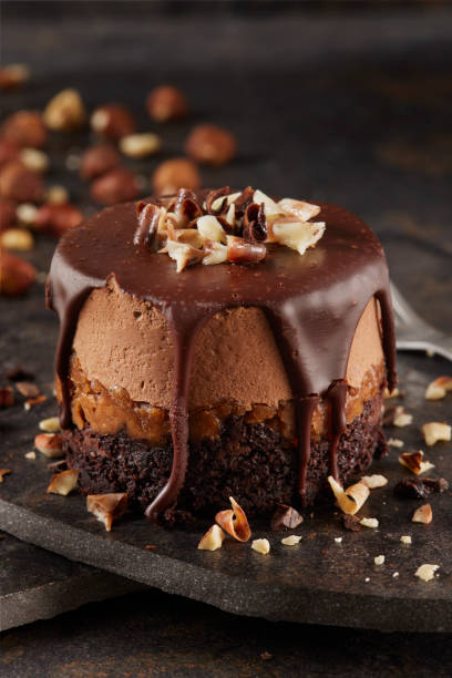 istock Individual Chocolate Mousse Hazelnut Fudge Cake 2193750159