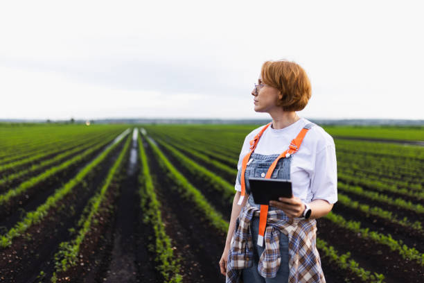 istock Young Female Overseer with Tablet Inspecting Agricultural Fields at Sunrise 2193753854