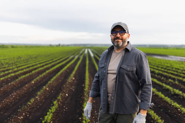 Confident Farmer Standing in a Large Green Field at Sunset