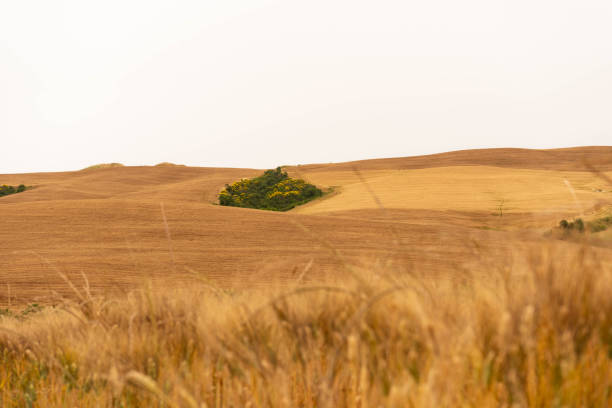Scenic Tuscany Agricultural Hills