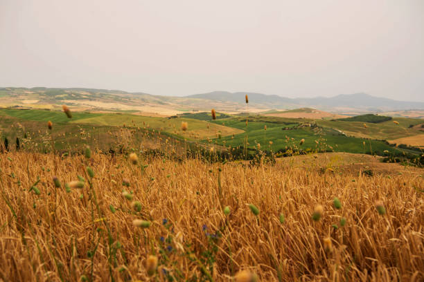 Rolling Tuscany Landscape, Val d'Orcia, Italy