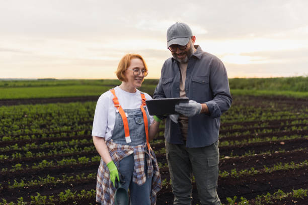 istock Farmers Using Technology in Crop Field During Sunset 2193754339