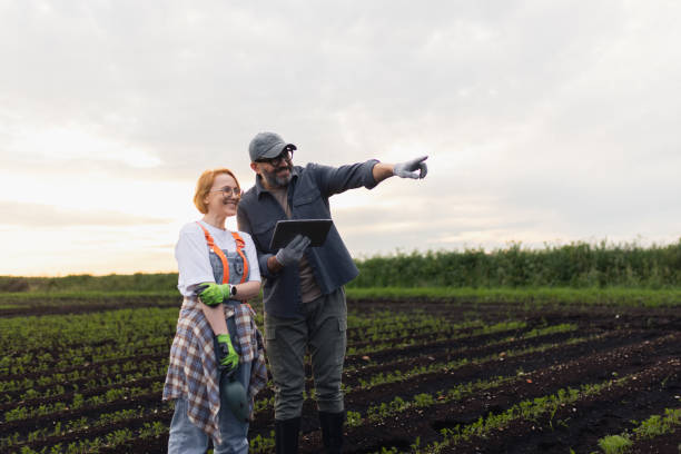istock Farmers Using Technology to Review Crops in a Field 2193754426