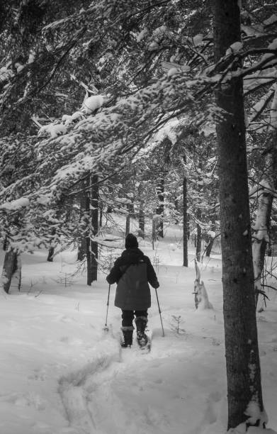 istock Snowshoeing in the boreal forest after a snowfall 2193754970