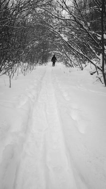 istock Snowshoeing in the boreal forest after a snowfall 2193754997