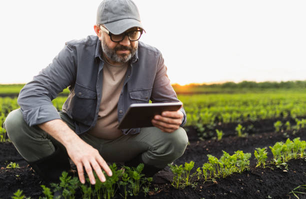 istock Modern Farmer Using Technology in Organic Agriculture Field at Sunset 2193755361
