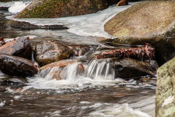 water cascading in trap falls brook  located in willard brook state forest