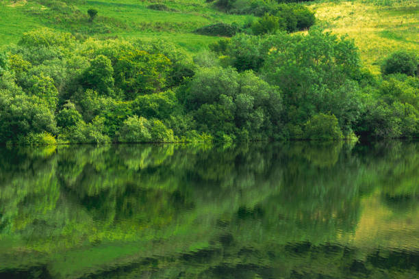 View of Kumobaike (Kumoba pond) in Karuizawa