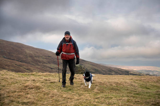 istock Mature man walking on the mountains with his spaniel dog. 2193767111