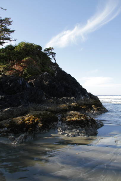 istock The Calm Before the Storm: Tofino 2193769150