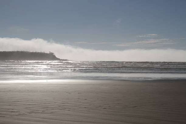 The Pacific coast on Vancouver Island, near Tofino