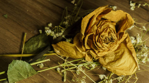 istock Dry bouquet on a wooden table 2193780172