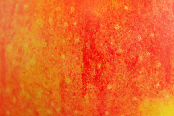 istock Texture of red and yellow apples as background 2193781515