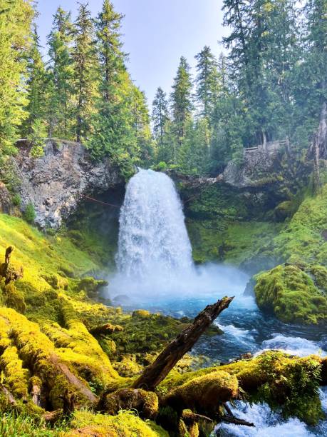 istock Sahalie Falls in Oregon's Willamette National Forest 2193786042