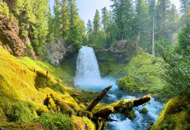 istock Sahalie Falls in Oregon's Willamette National Forest 2193786082