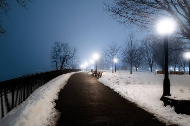A footpath through a public park during the Winter.