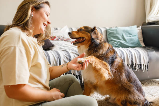 istock Dog giving paw to his owner 2193791773