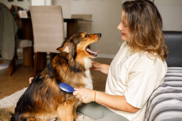 istock Woman brushing her dog 2193791782