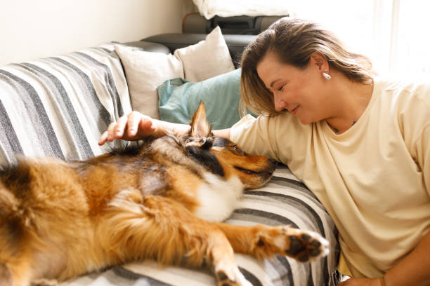 istock Woman petting her dog on sofa 2193791834