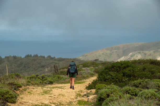 istock Woman Hikes Downhill on Wide Trail 2193791986