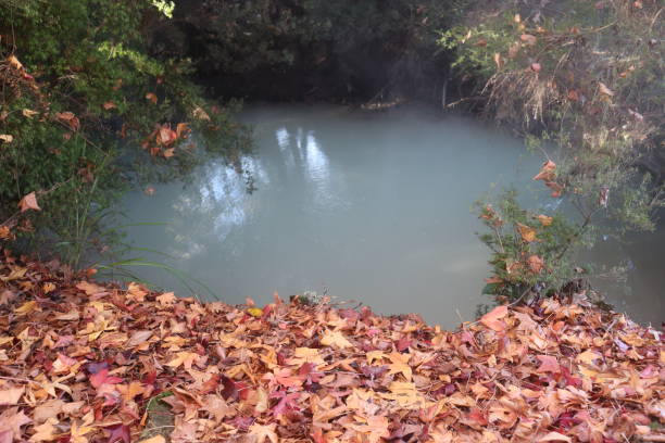 istock Autumn leaves at the hot spring 2193795221