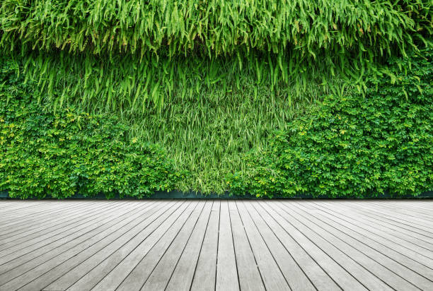 istock Empty boardwalk with beautiful wall made of green branches 2193795522