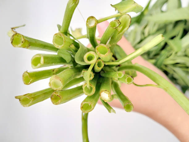 istock Bunch of fresh kale 2193798210