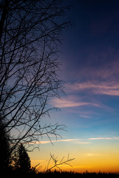 Dawn skies, pink clouds, delicate colors, bright sky