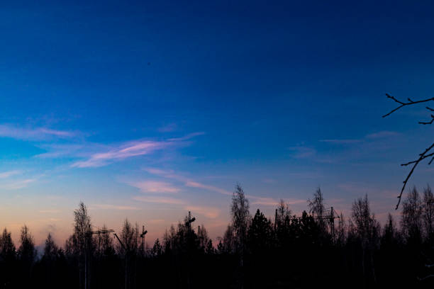 Dawn skies, pink clouds, delicate colors, bright sky