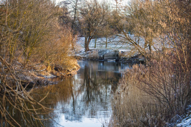 Outstanding landscape in city park with snowy trees and beautiful frozen river.  Winter landscape