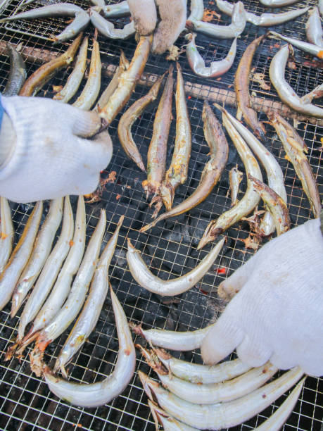 Grilled Yangmiri Fish on a Grill